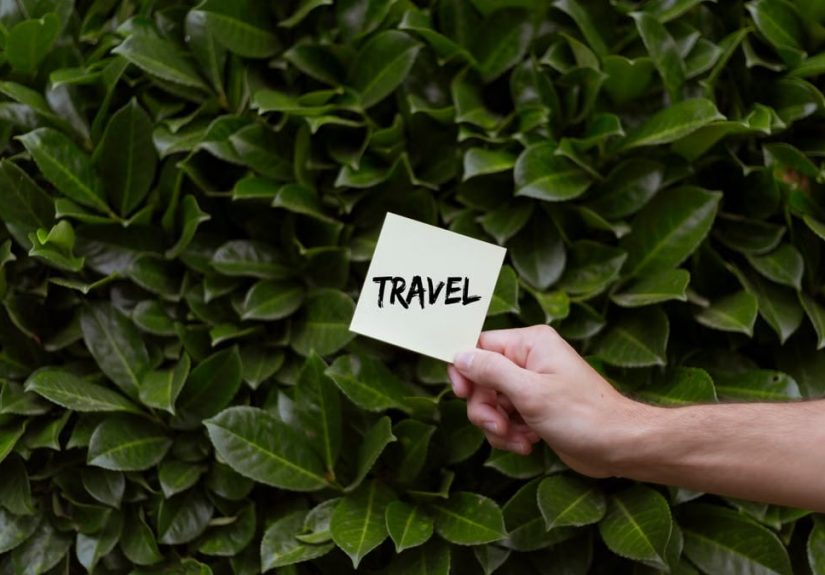 A hand holds a note with the word 'travel' against lush green leaves, symbolizing exploration.